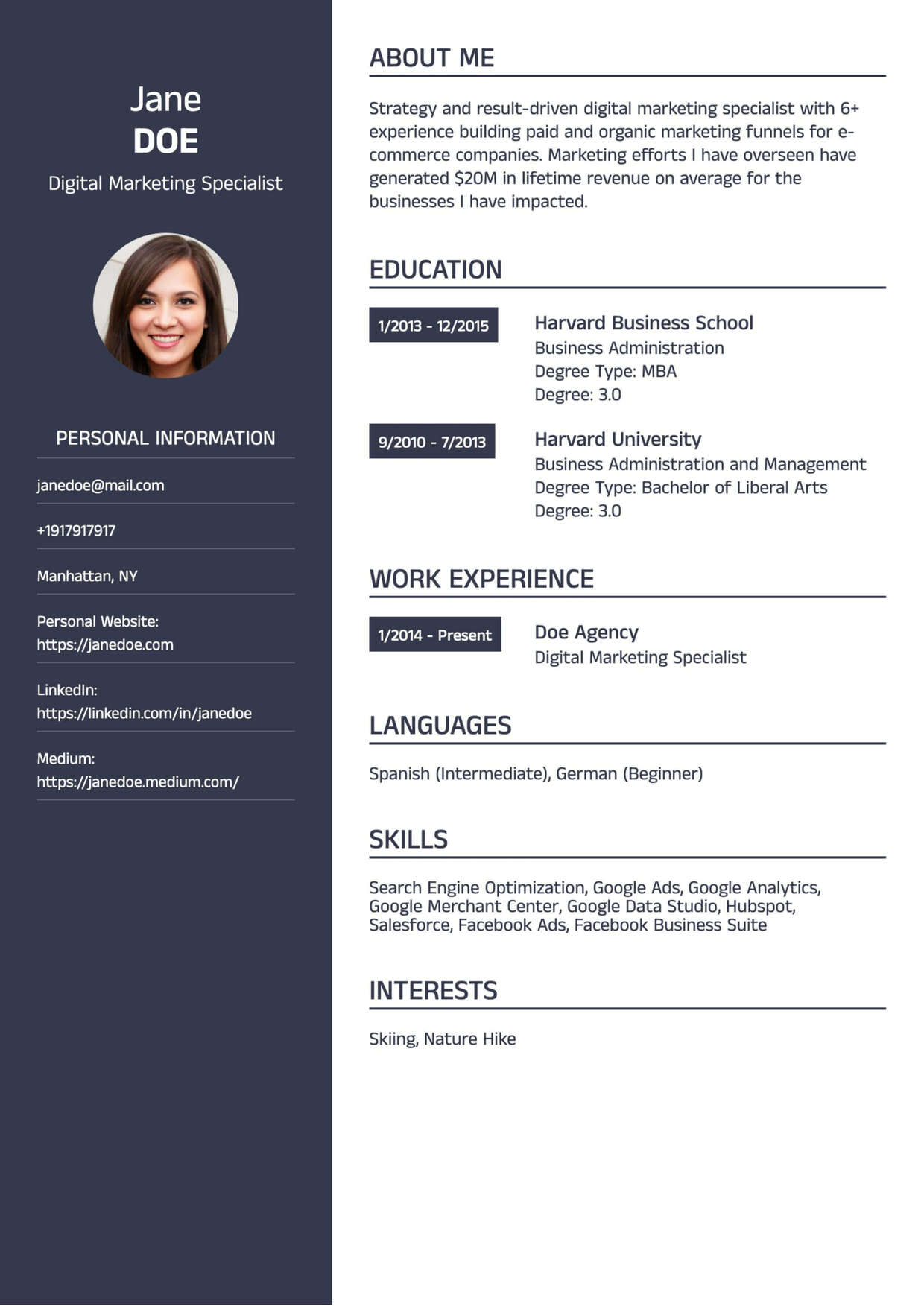 Professional CV Template 2